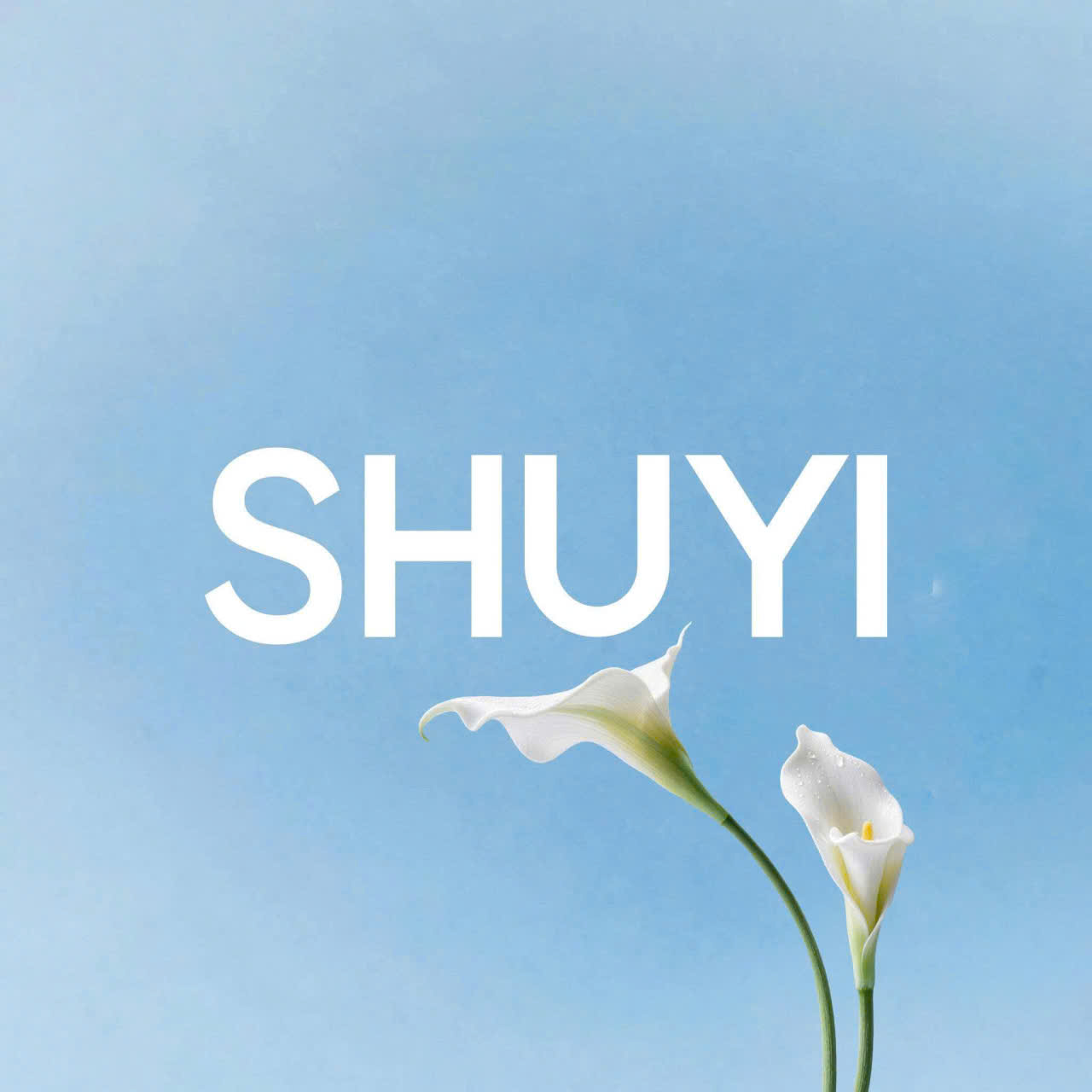 Shuyi Nguyễn Văn Thoại